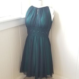 Green Lined with Black Chiffon Dress
